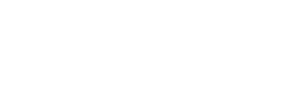 Logo 70┬░ Palagi-white